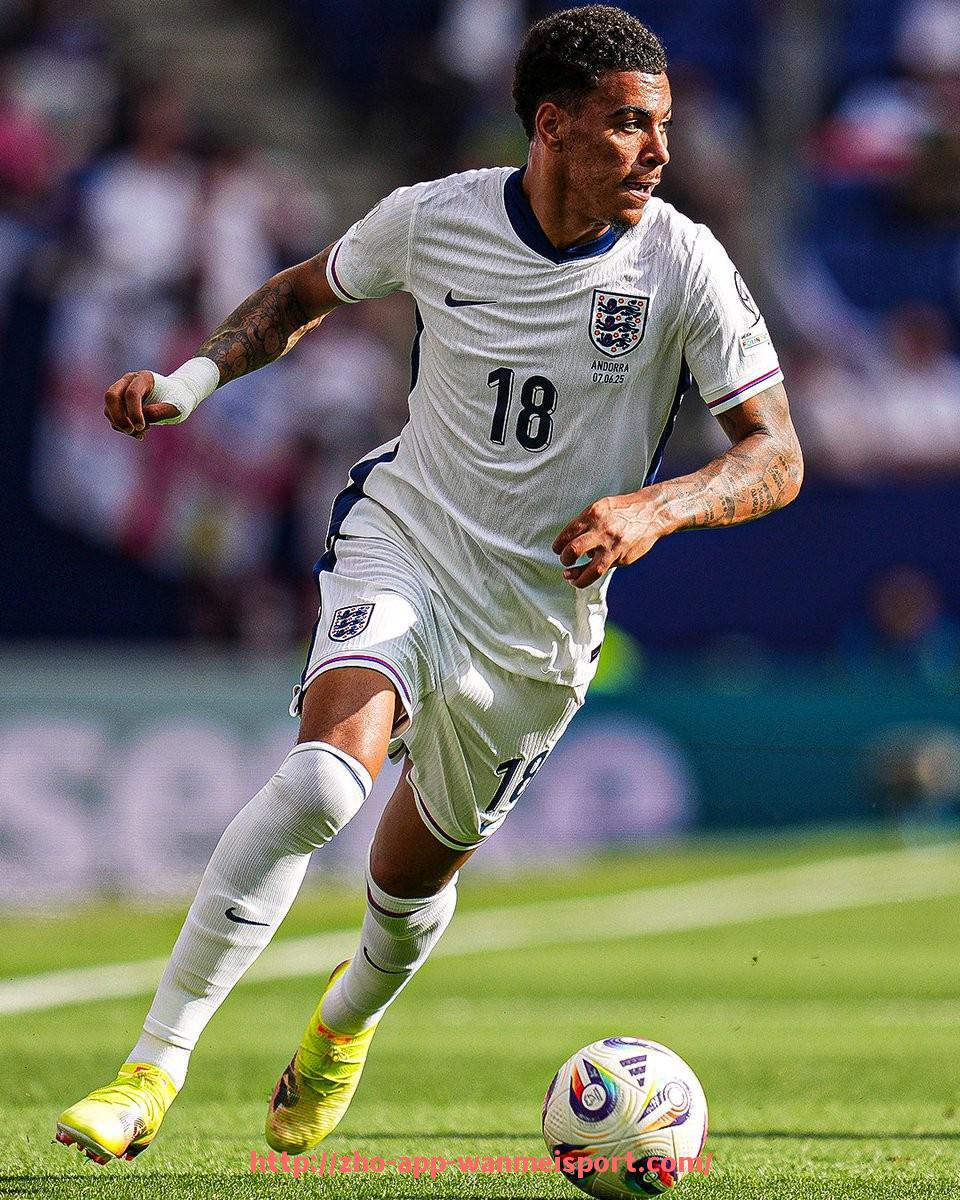 完美体育官方入口-英超球员投资项目曝光及财务规划案例分析 完美体育官方入口-英超球员投资项目曝光及财务规划案例分析